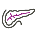 Kategoriebild der Kategorie “Diabetologie”