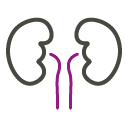 Kategoriebild der Kategorie “Nephrologie”