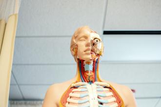 Kategoriebild der Kategorie “Innere Medizin”